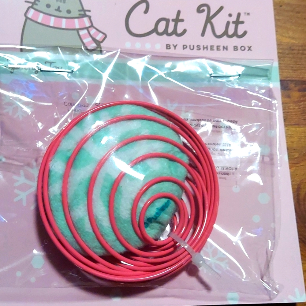 Pusheen sorting toy